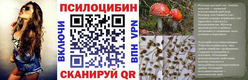 omg маркетплейс  Благовещенск  Псилоцибиновые грибы GOLDEN TEACHER 