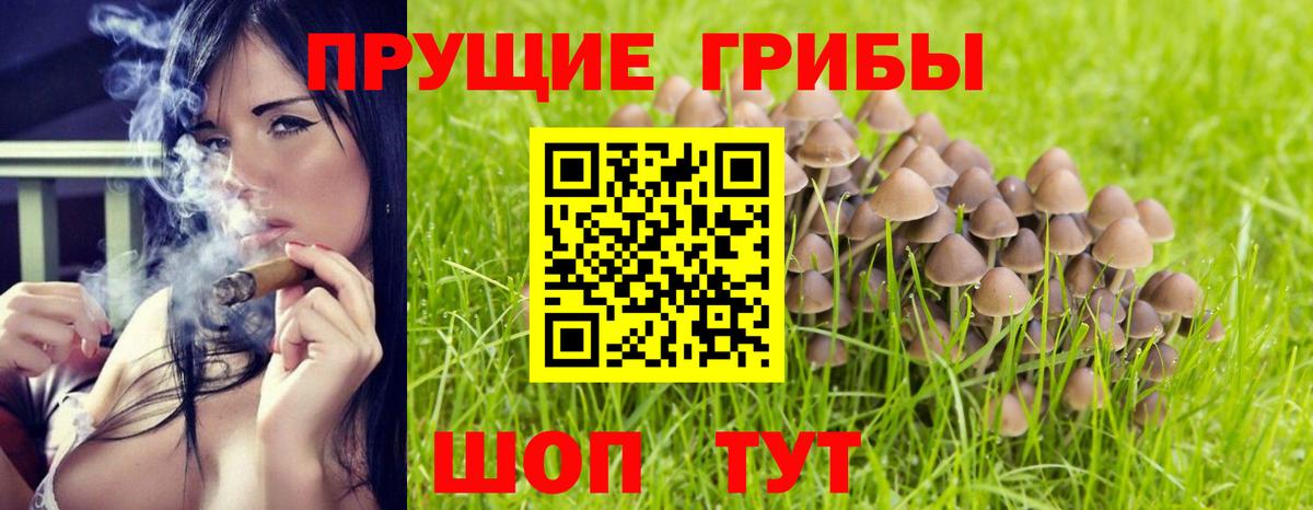 Псилоцибиновые грибы Psilocybe  Вход с VPN  Псилоцибиновые грибы Psilocybine cubensis  Благовещенск 